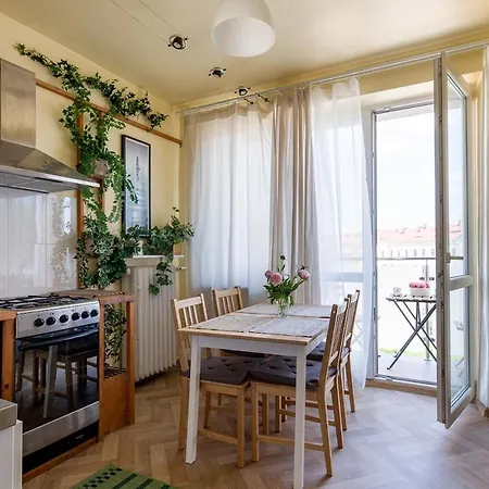 Spacious Cental Treasure *